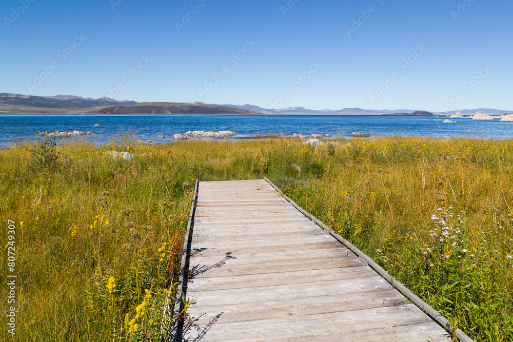 a boardwalk in the middle of a beautiful grassland over a marsh area at the mono lake, california