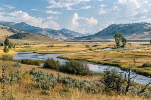 Idyllic Valley in ] National Park, Wyoming: Scenic River Flowing Through photo