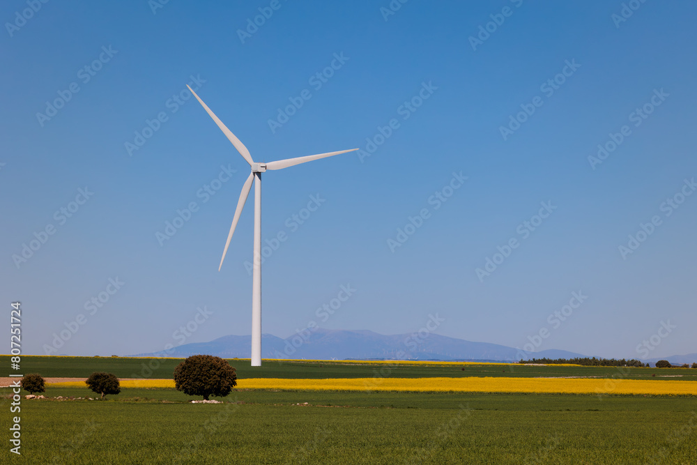Fototapeta premium windmills of wind energy in the middle of the countryside with beautiful colors and clear blue sky, renewable energy