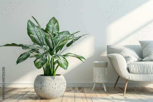 Aglaonema Maria Houseplant in Bright Contemporary Living Room with Wooden Flooring and Round Pot photo
