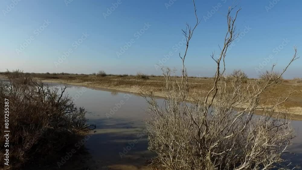 Establishing shot of a flood river in a desert, filmed from behind a large, dry bush. Establishing shot of a flood river in a desert, filmed from behind a large, dry bush.