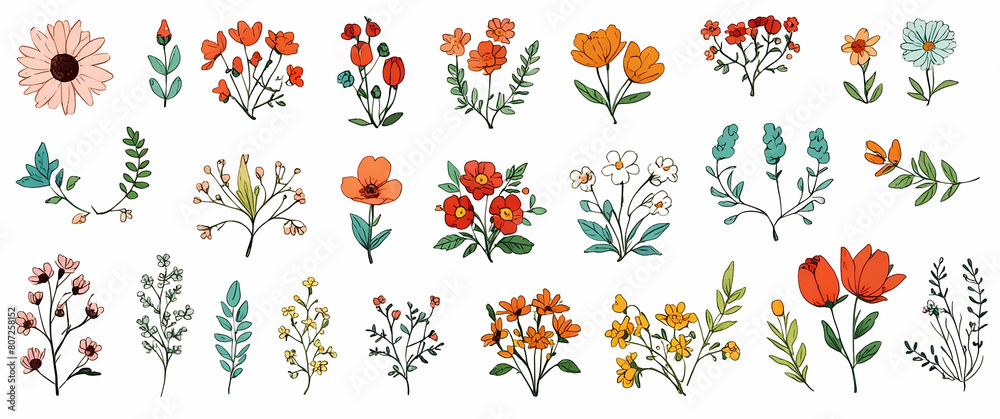 pattern with flowers