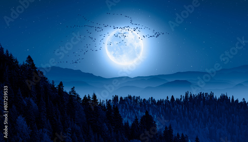 Night view of flock of migration birds  flying over a blue full moon Blue mountains forest in the background - Migration of birds during autumn 