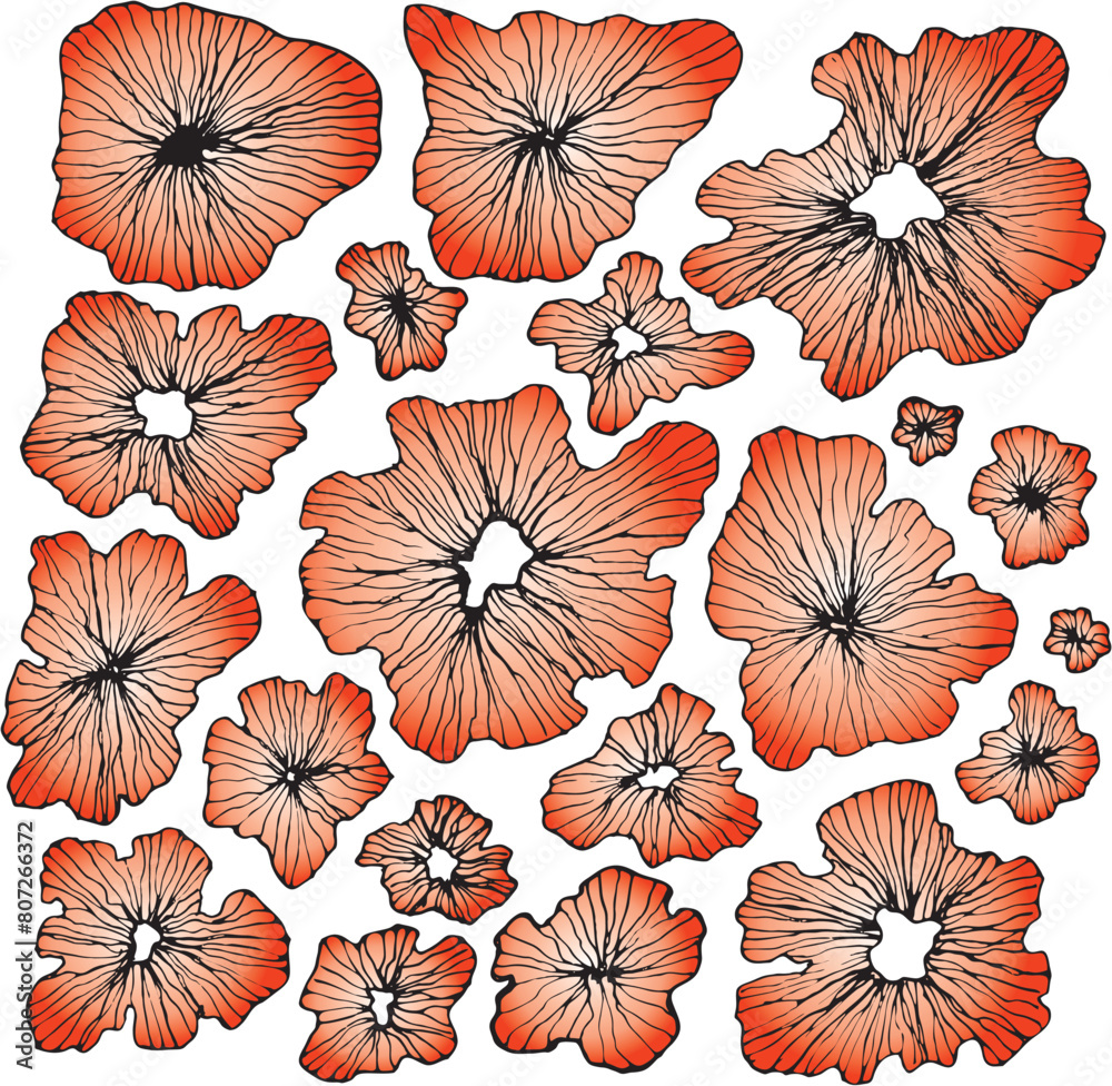 Seamless floral pattern with hand drawn flower garden elements on an isolated white background