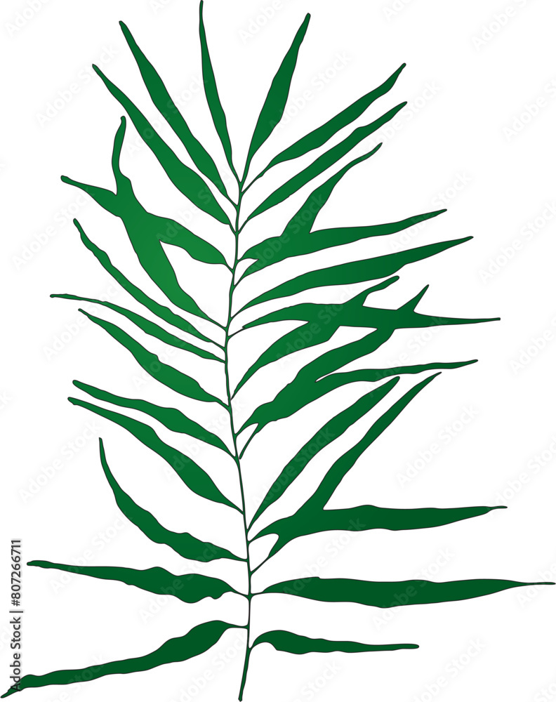 Obraz premium Vector branches and leaves. Hand drawn floral elements. Vintage botanical illustrations