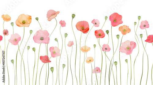 A row of poppies of various colors with green stems. The flowers are arranged in such a way that they appear to grow from the ground. The scene is happy and bright. White background.