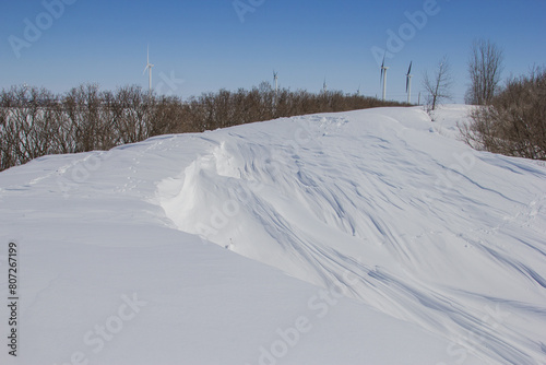 deep snow drifts in a farm windbreak photo