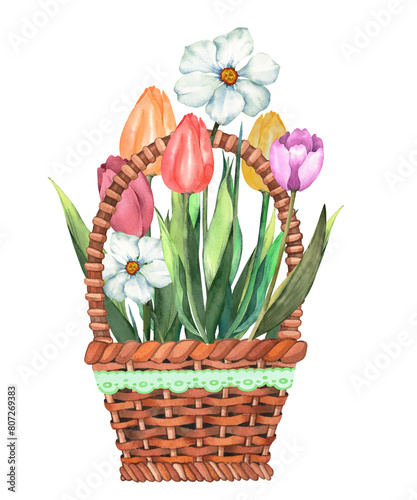 Festive basket with flowers. Watercolor illustration, postcard.