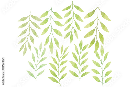 Watercolor leaves illustration set - green leaf branches collection for wedding, greetings, stationary, wallpapers, fashion, background. olive, green leaves, Eucalyptus etc