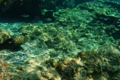 Underwater rocky landscape with swimming fish. Rocky seabed, underwater photography from snorkeling. Seascape with the marine life and seabed. Travel photo.