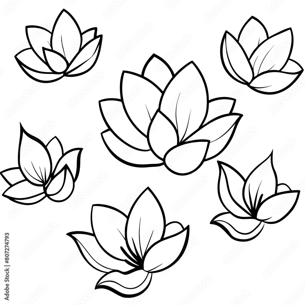 a high-resolution vector art illustration of a Magnolia flower (40)