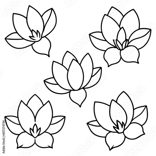 a high-resolution vector art illustration of a Magnolia flower  29 