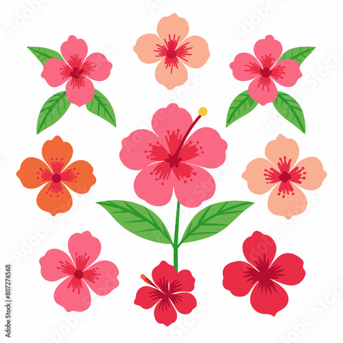 minimal Hibiscus flower set vector art illustration  (19) © Big Dream