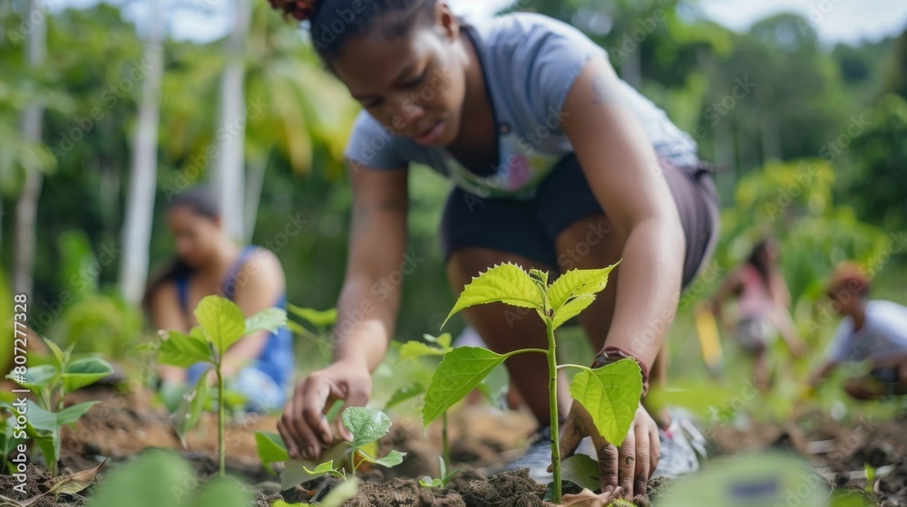A woman is planting a tree with two other people A woman is planting a tree with two other people