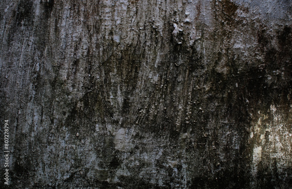 Obraz premium Empty white concrete texture background, abstract backgrounds, background design. Grunge interior background, grunge dirty metal background or texture.