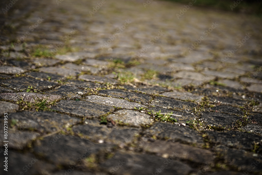 raps, vögeln, pusteblumen, dry, desert, nature, landscape, road, sky, drought, mud, stone, sand, water, land, cracked, ground, soil, earth, texture, crack, summer, sea, pattern, arid, lake, salt, dirt raps, vögeln, pusteblumen, dry, desert, nature, landscape, road, sky, drought, mud, stone, sand, water, land, cracked, ground, soil, earth, texture, crack, summer, sea, pattern, arid, lake, salt, dirt