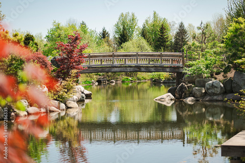 bridge over the river