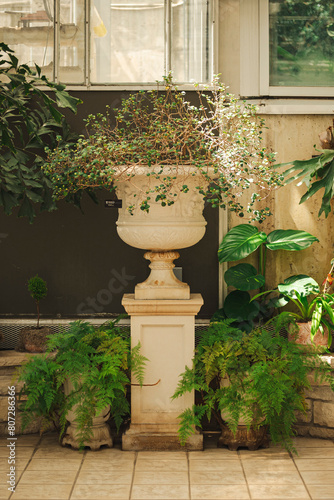 pot in the garden