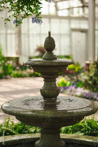 fountain in the garden