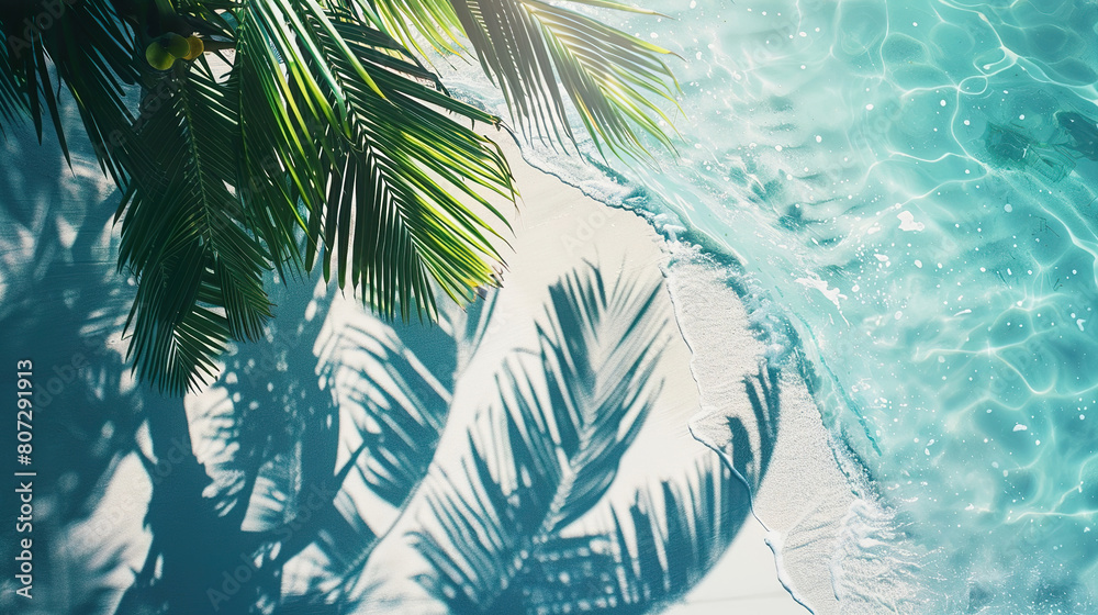Tropical Leaf Shadows on Aquatic Surface Tropical Leaf Shadows on Aquatic Surface