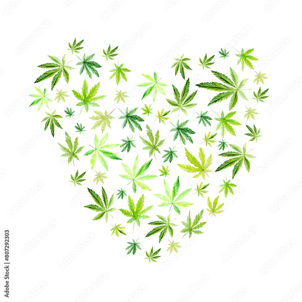 Obraz premium Green cannabis heart on white background,green leaves Hand drawn watercolor illustration, medicine herb plant