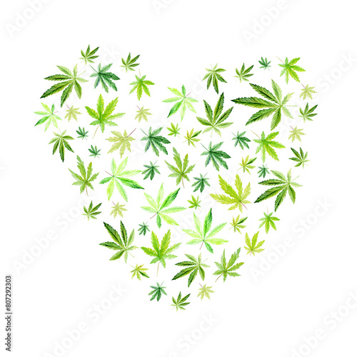 Green cannabis heart on white background,green leaves Hand drawn watercolor illustration, medicine herb plant