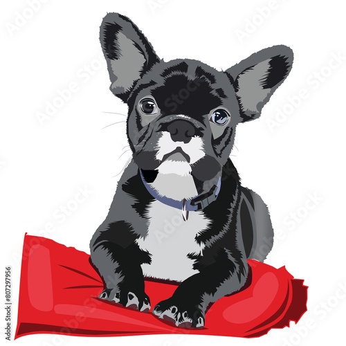 bulldog cute puppy black and white clipart vector illustration for dog lovers