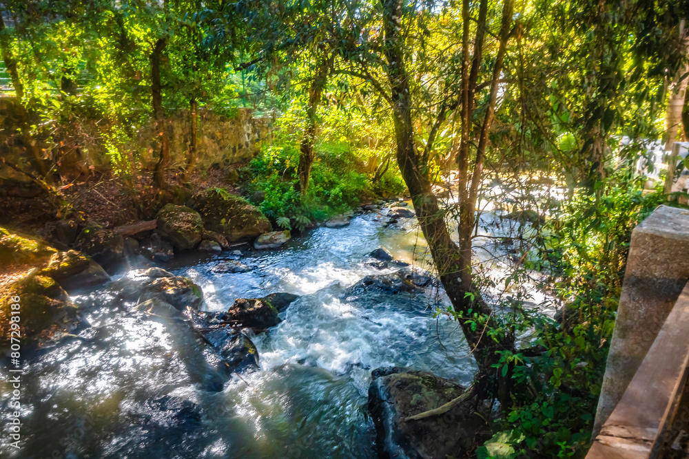 River in the middle of the tropical forest, river in Avandaro in Bravo Valley, State of Mexico River in the middle of the tropical forest, river in Avandaro in Bravo Valley, State of Mexico