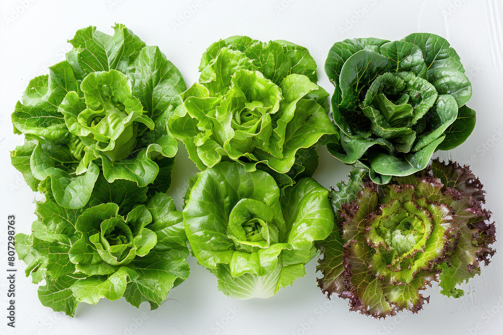 Several lettuce plants arranged neatly on a table Several lettuce plants arranged neatly on a table