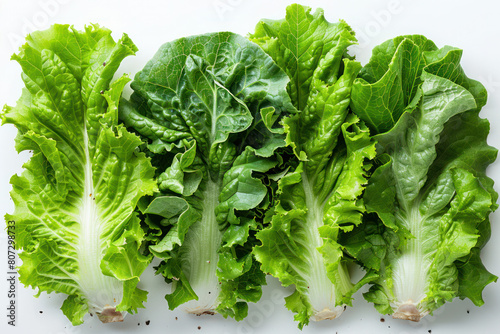 A collection of lettuce leaves arranged on a white surface © reddish