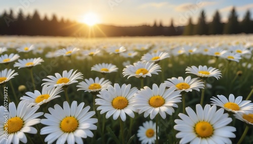 Move on to a picture of a field of colorful Daisies, with rows of these elegant flowers stretching as far as the eye can see. 8k © Zulfi_Art