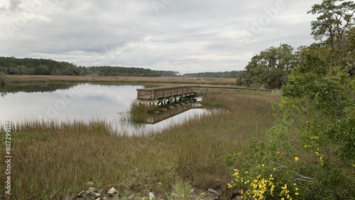 Harris Neck National Wildlife Refuge, Georgia