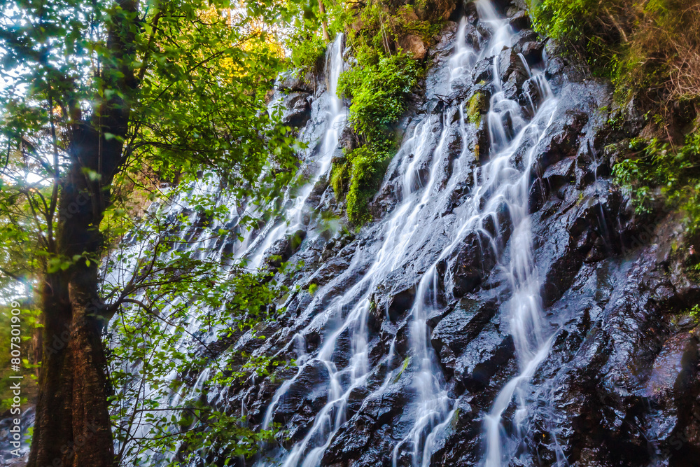 Waterfall in the jungle, bridal veil waterfall in valley of Bravo state of Mexico Waterfall in the jungle, bridal veil waterfall in valley of Bravo state of Mexico