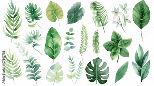Collection of Various Green Plants and Leaves Illustration on a White Background