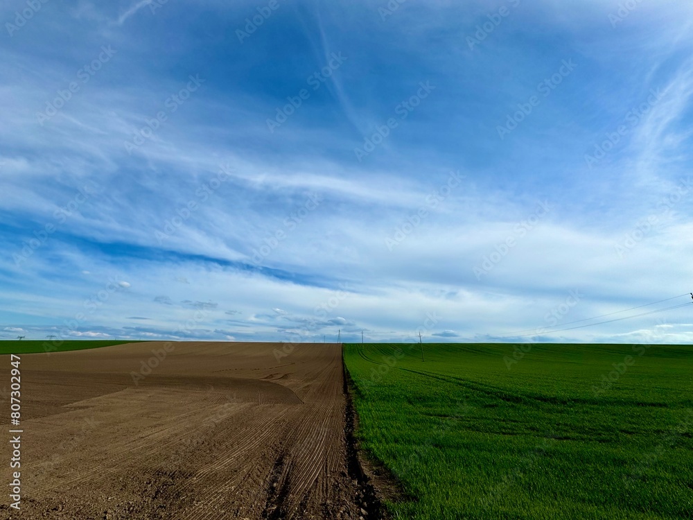 Fototapeta premium Field green vs. Brown