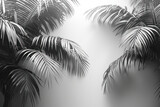 A detailed black and white image of a palm tree casting its shadow, set against a soft, light grey background
