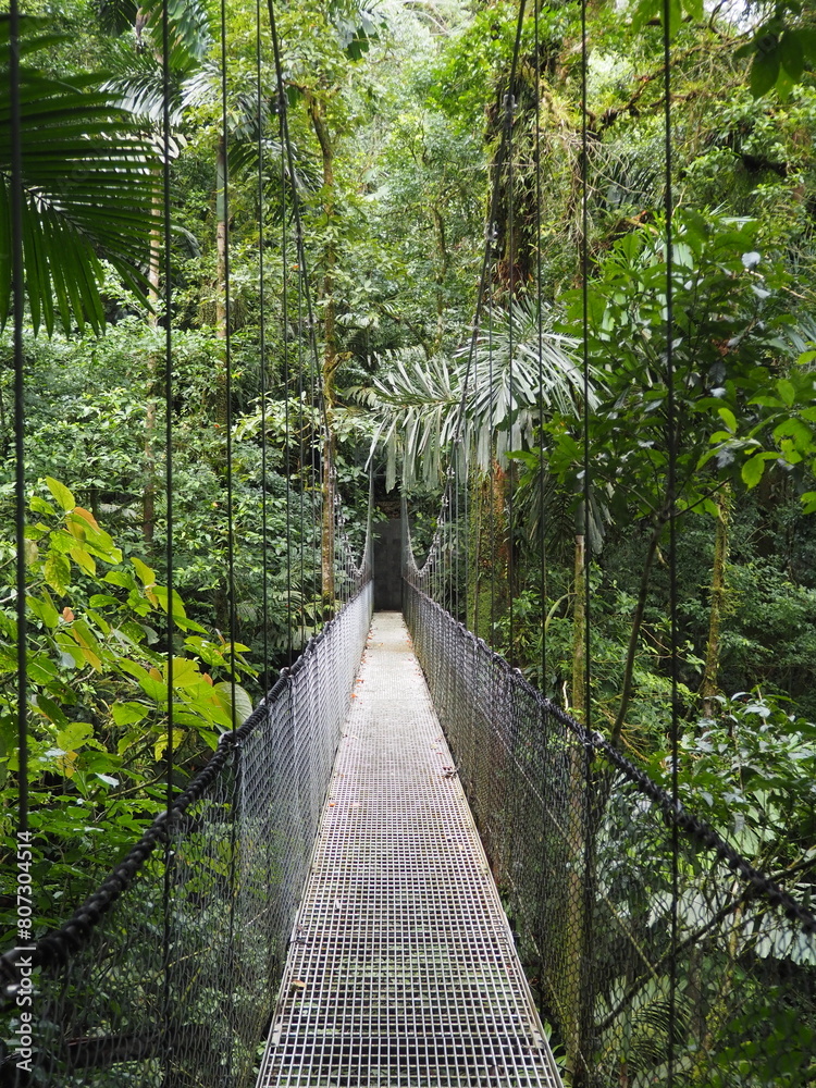 Fototapeta premium Hanging Bridges and Rainforest in La Fortuna, Costa Rica