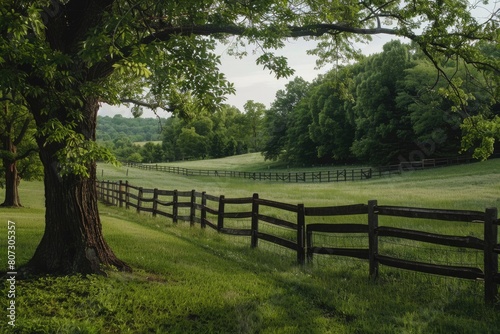 Rustic Country Stockyard with Green Landscape and Fenced Pasture
