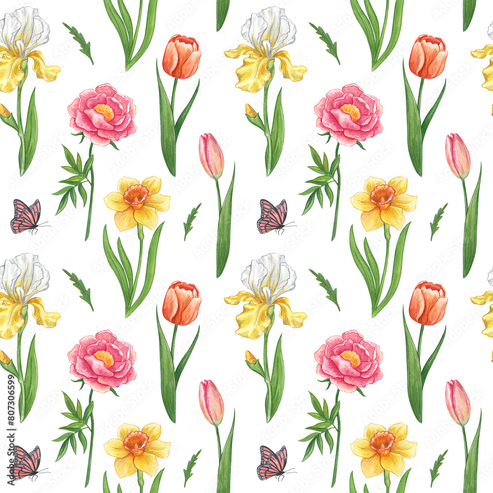 Seamless pattern of spring flowers on a white background. Watercolor hand drawn illustration of bright flowers peony, narcissus, iris and tulip. Pattern for fabric, print and floral wallpaper. Seamless pattern of spring flowers on a white background. Watercolor hand drawn illustration of bright flowers peony, narcissus, iris and tulip. Pattern for fabric, print and floral wallpaper.