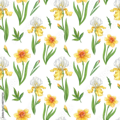 Seamless pattern of spring flowers on a white background. Watercolor hand drawn illustration of yellow daffodil and iris. Pattern for fabric  print and floral wallpaper.