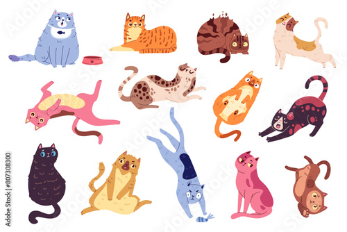 Set of funny, silly, fat cats playing with toy, sleeping, scared, stretching, demand food. Doodle flat fluffy cats in different poses. Cute cartoon ginger cat