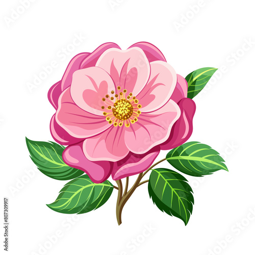 Tender Pink Flowers of Rosa Canina or Dog Rose Plant with Mature Red Rose Hips