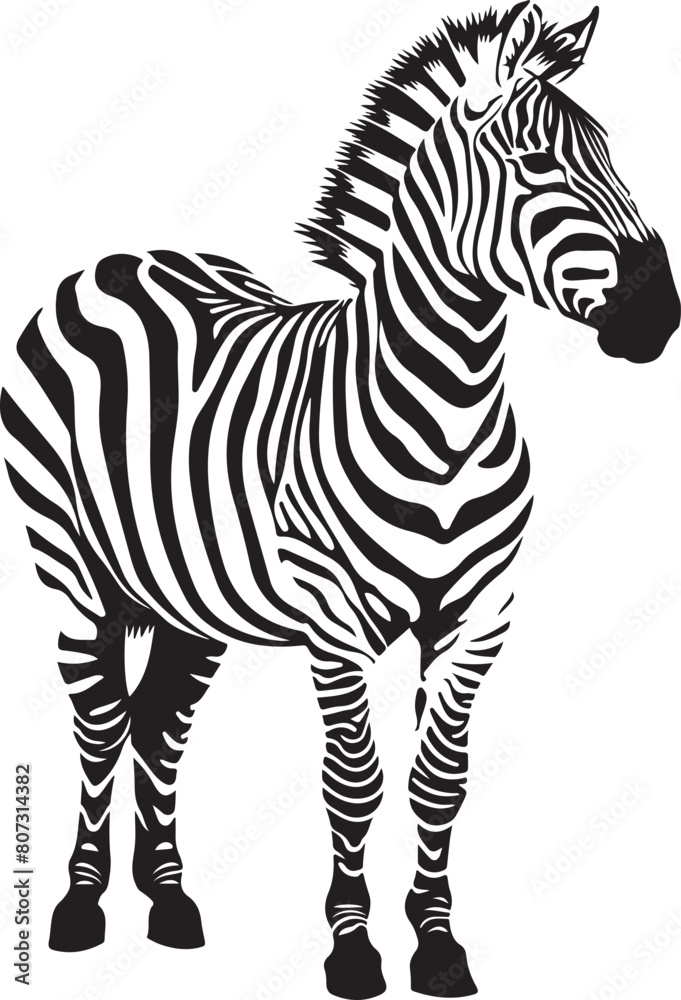Obraz premium zebra animal vector illustration