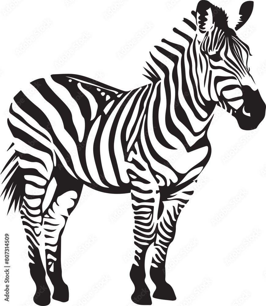 Fototapeta premium zebra animal vector illustration