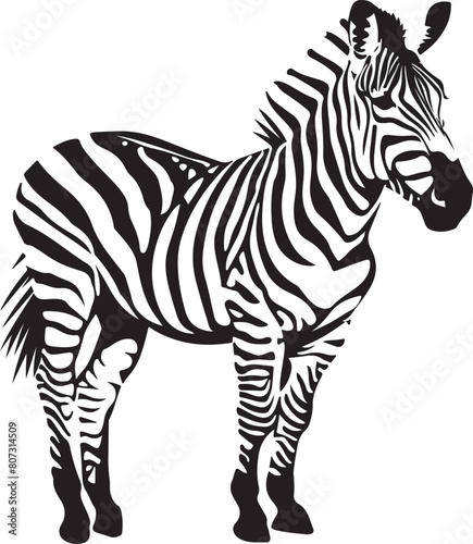 zebra animal vector illustration