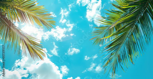 Palm trees stand tall in silhouette against a blue sky with fluffy white clouds