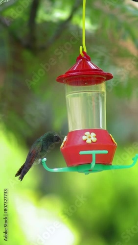 COLIBRI