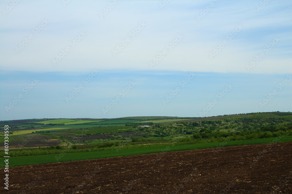 A landscape with a mountain in the background A landscape with a mountain in the background