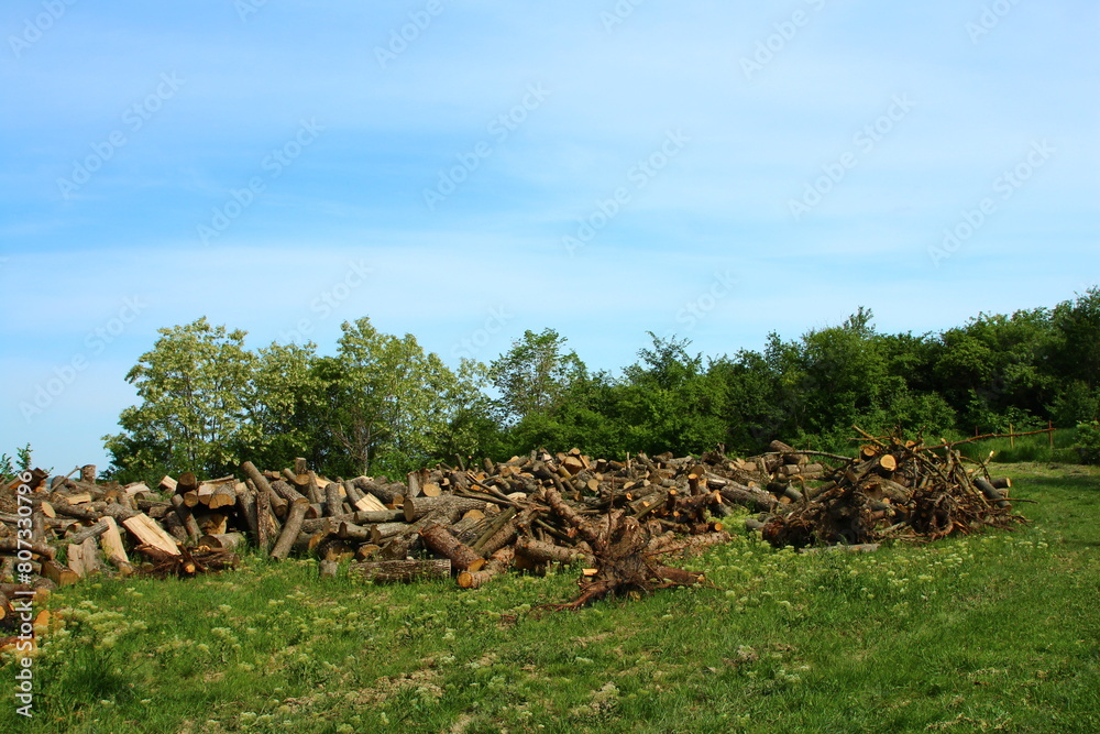 A pile of logs in a field