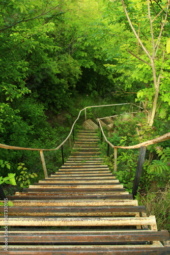 A wooden bridge over a stream